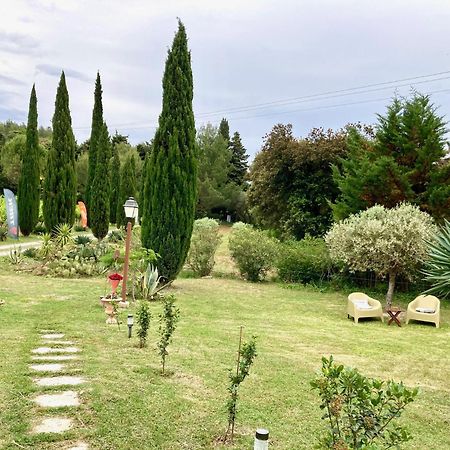 Domaine Des Lavarines Morieres-les-Avignon エクステリア 写真