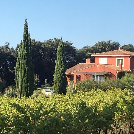 Domaine Des Lavarines Morieres-les-Avignon エクステリア 写真