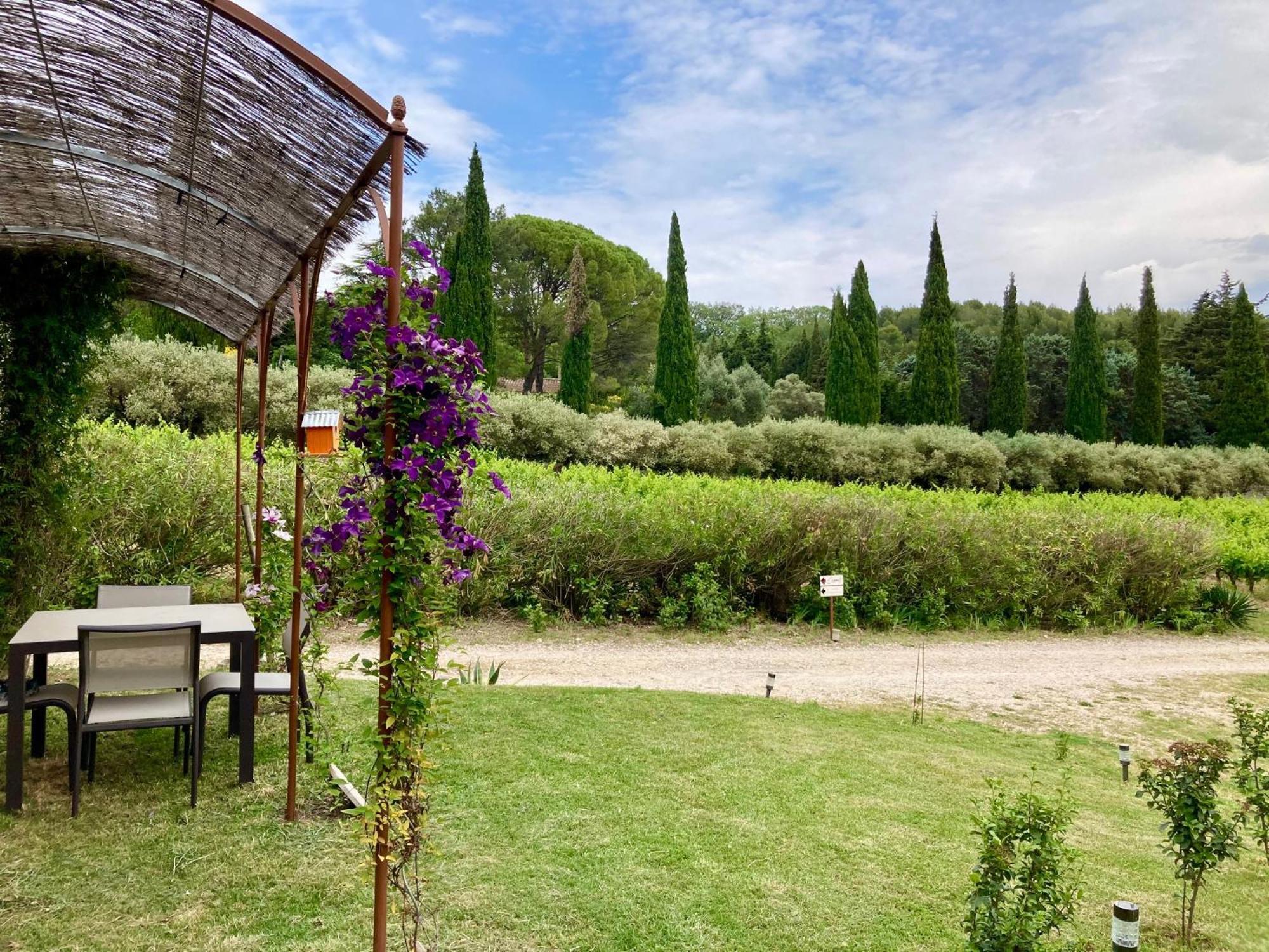 Domaine Des Lavarines Morieres-les-Avignon エクステリア 写真